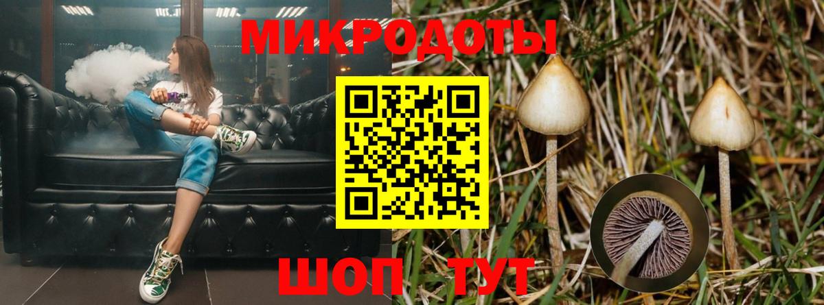 Галлюциногенные грибы мухоморы  Вход с VPN  Александров 